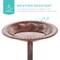 Best Choice Products Outdoor Rustic Pedestal Bird Bath Accent for Garden, Yard w/ Fleur-de-Lis Accents